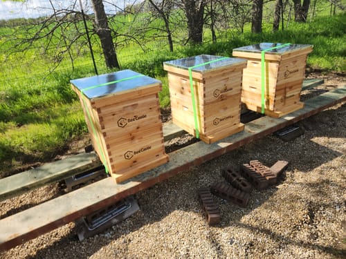 Customer photo review of Ventilated 10 Frame Beehive Screened Bottom Board with Wax Coating for Improved Airflow in Beekeeping