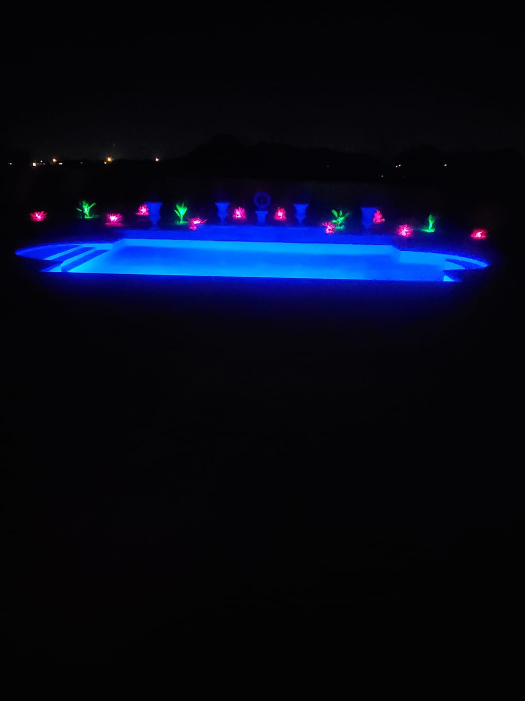 Customer photo review of TSUN Solar Landscape Spotlights