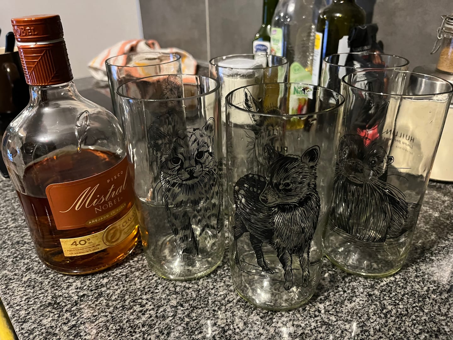 Customer photo review of Fauna Chilena - Juego de 6 vasos