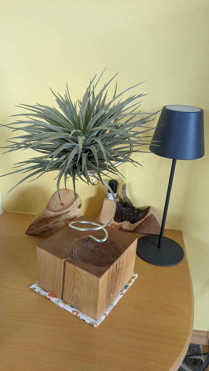 Customer photo review of Tilly Xylo - Gigant