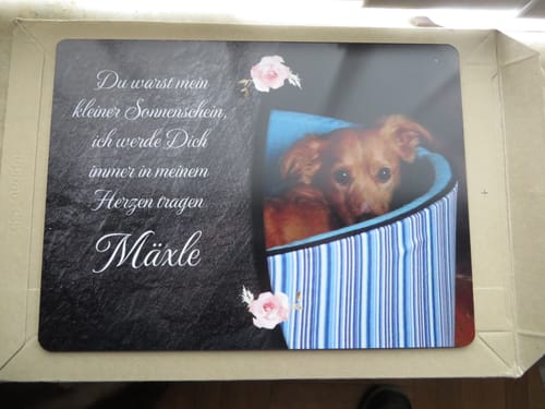 Customer photo review of Hunde Gedenktafel mit Foto & Spruch (UV- &  Wetterfest)