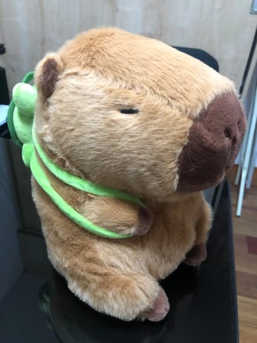 Customer photo review of Capybara School Buddy Plushie