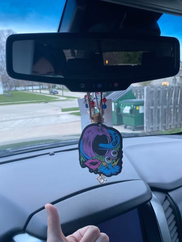 Customer photo review of Air Fresheners - 5 Pack