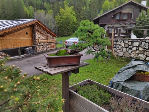 Customer photo review of MIRACLE CB® (Starter primaverile di nuova generazione)