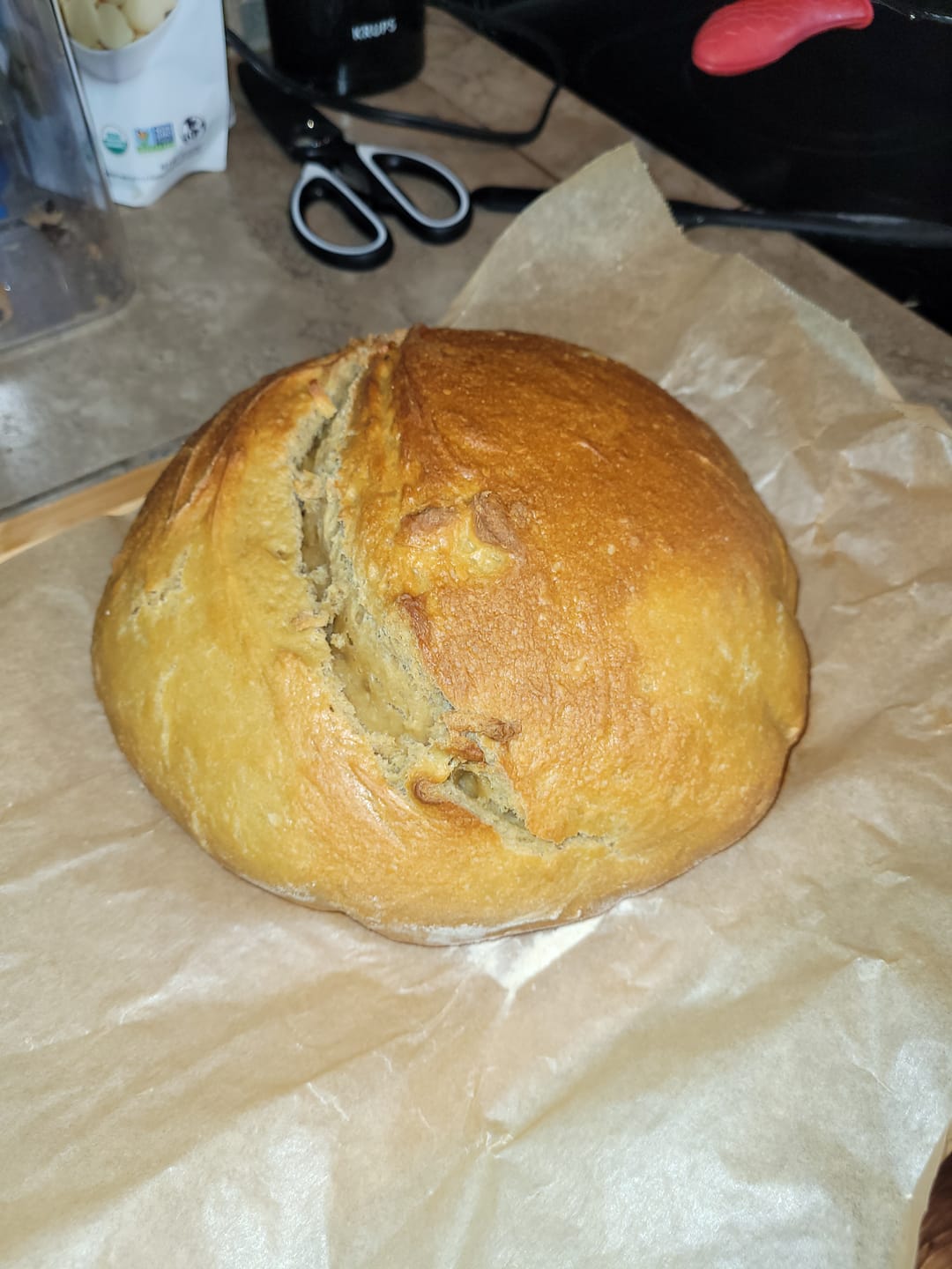 Customer photo review of Dehydrated Sourdough Starter Kit