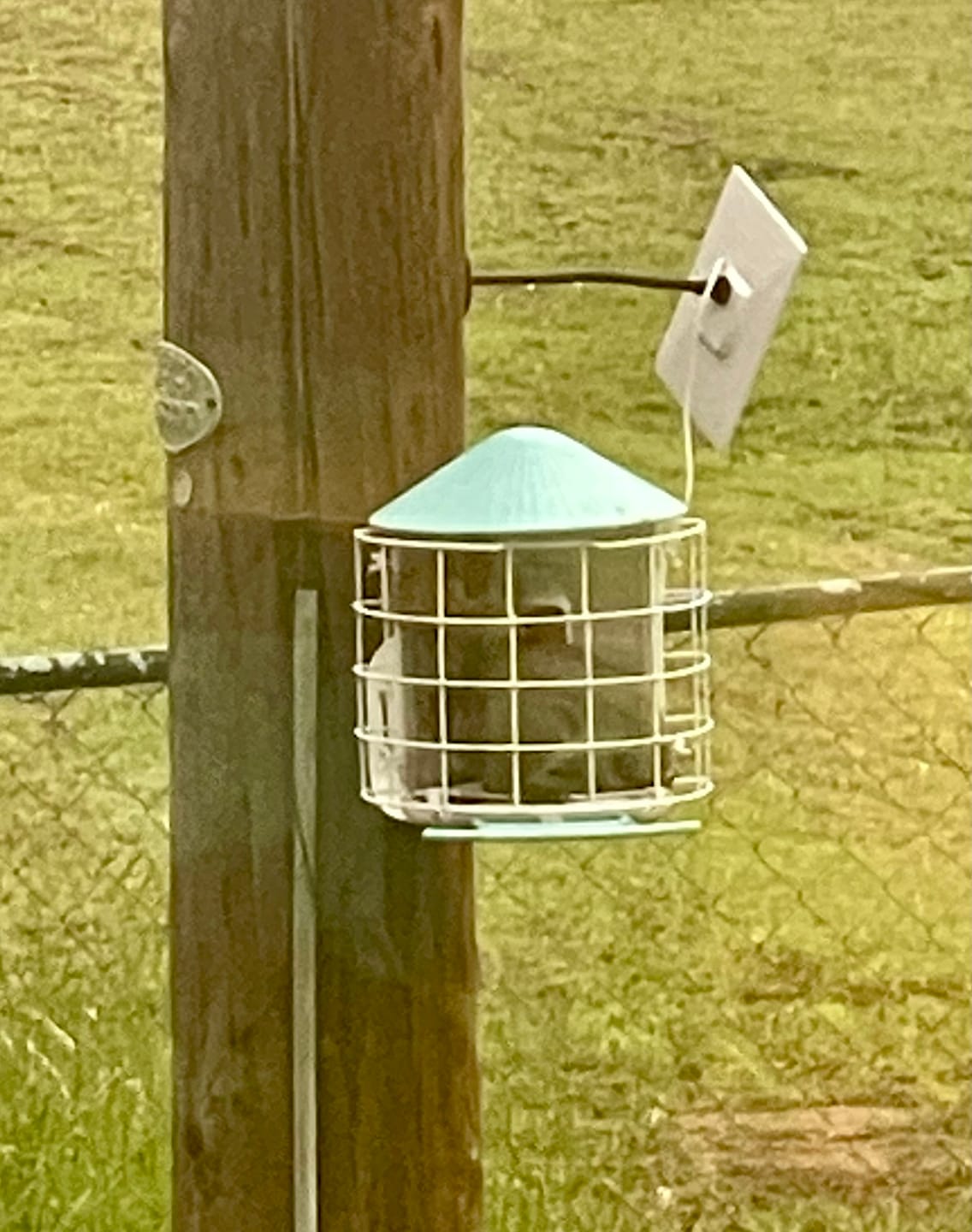 Customer photo review of [Pre-order] Birdfy Shield