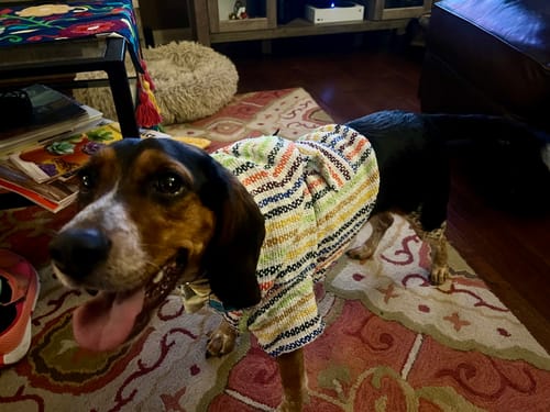 Customer photo review of Playa Poncho - Surprise Color