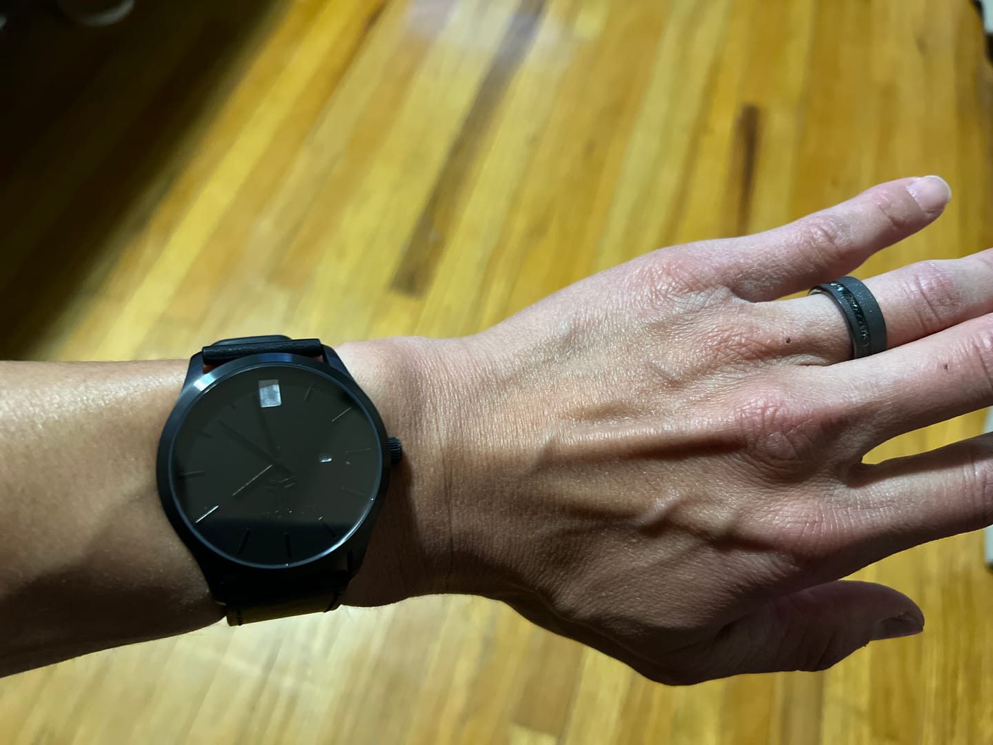 Customer photo review of The Meteorite Watch