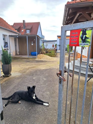 Customer photo review of Hunde-Türschild personalisiert mit Foto & Text (UV- und wetterfest)