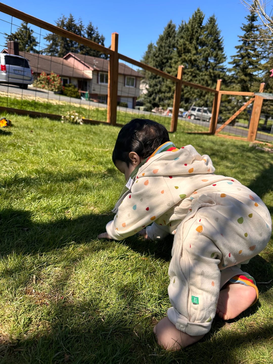 Customer photo review of Drip Drop Reversible Hooded Snug As A Bug Suit