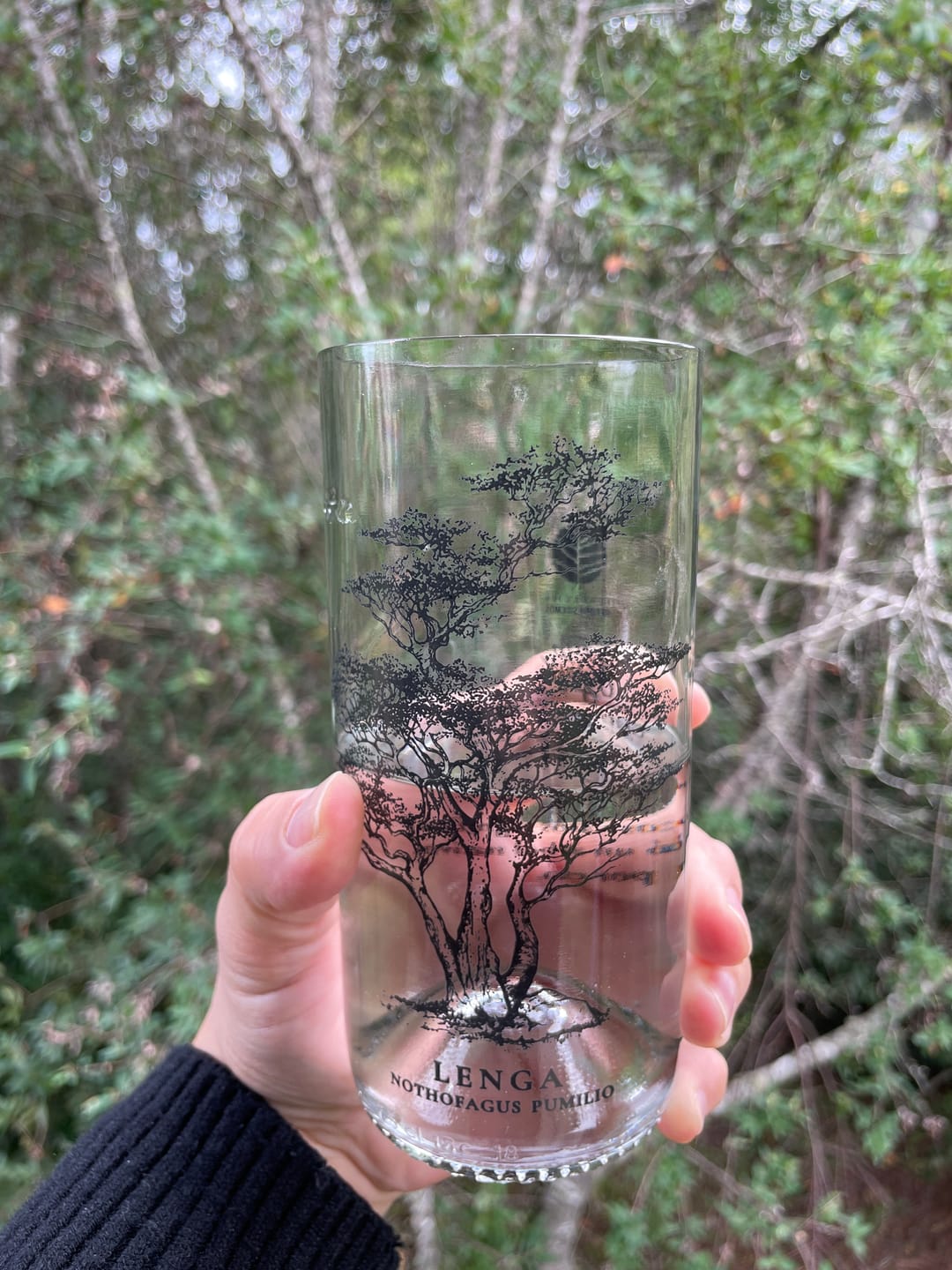 Customer photo review of Juego de 6 Vasos Árboles de Chile