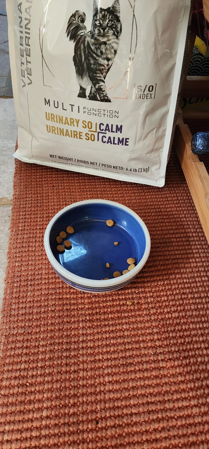 Customer photo review of Royal Canin Veterinary Diet - Urinary SO + Calm Dry Cat Food
