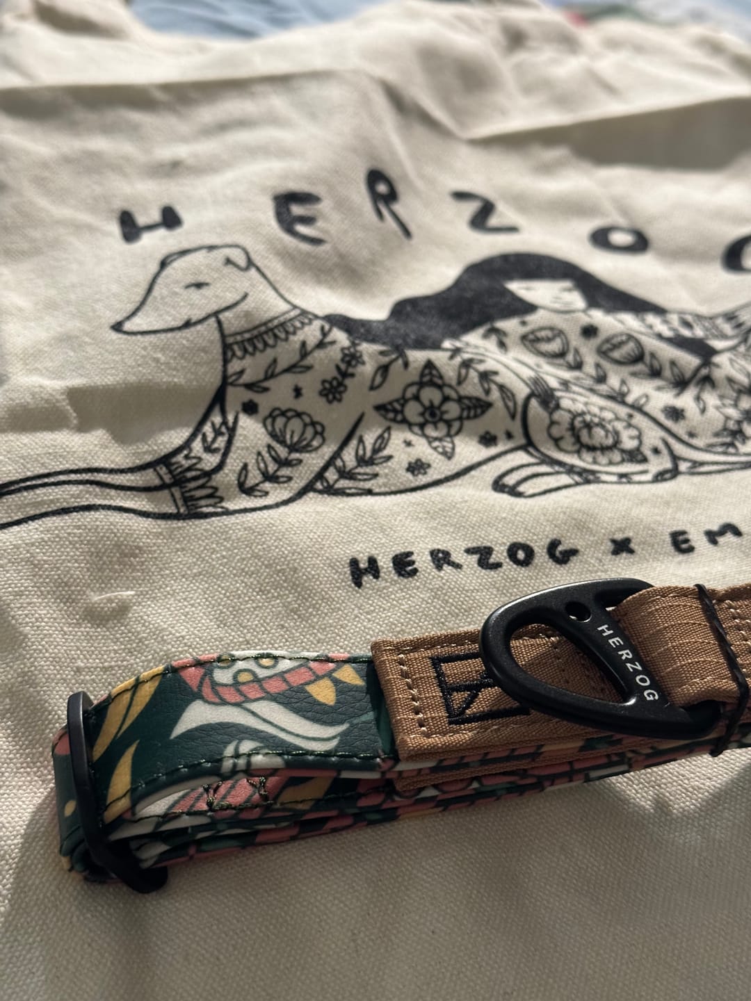 Customer photo review of NOOM: Artist Series Collar
