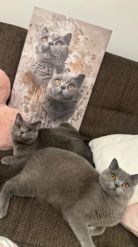 Customer photo review of Aquarell Pawtrait