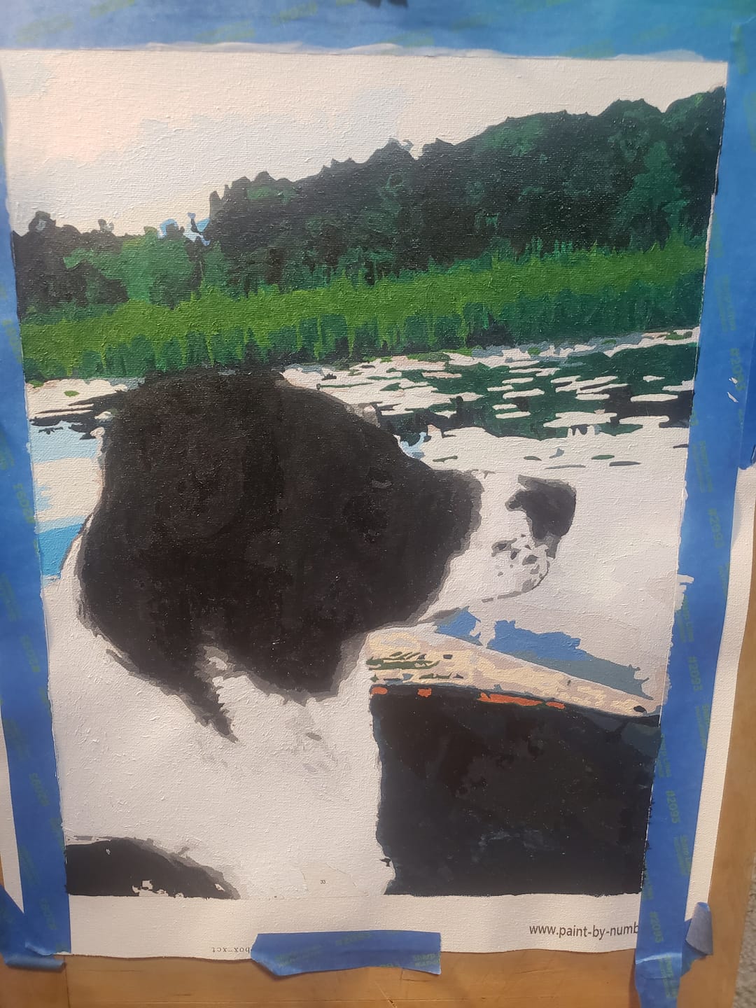 Customer photo review of Custom Paint By Numbers Kit | Just Upload Your Photo!