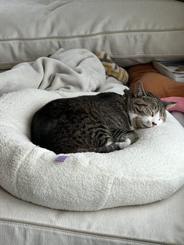 Customer photo review of Marshmallow Pudding Bed