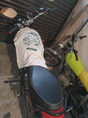 Customer photo review of DEEP FOREST