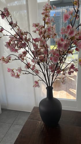 Customer photo review of Balim Vaas - Mat Zwart