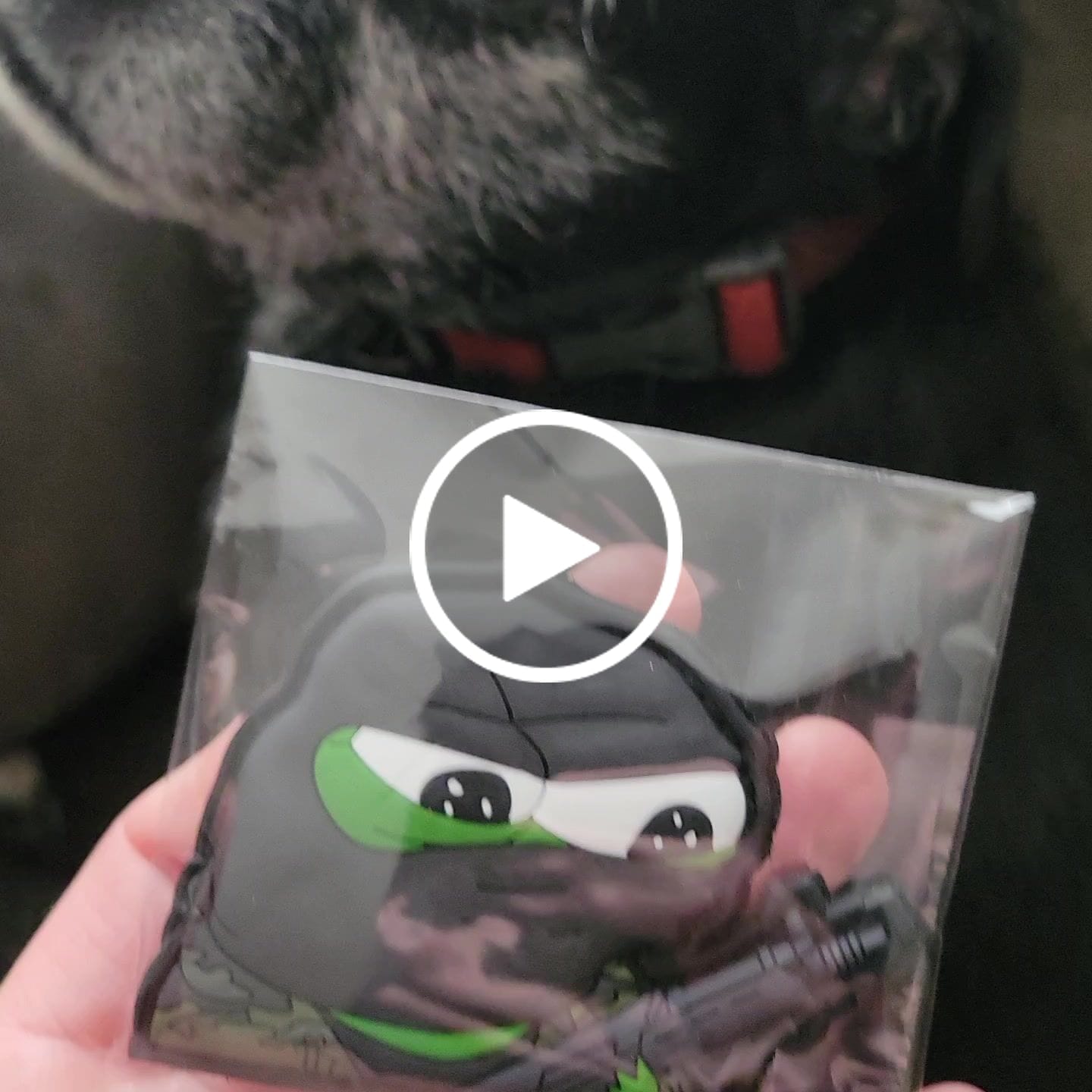 Customer video review of Incursion Pepe