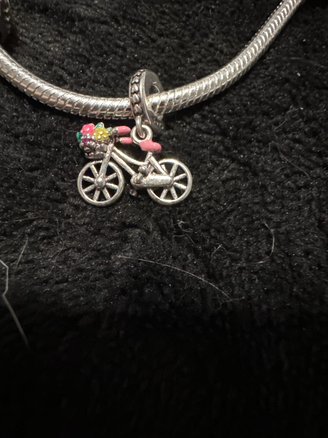 Customer photo review of Charm Bicicleta