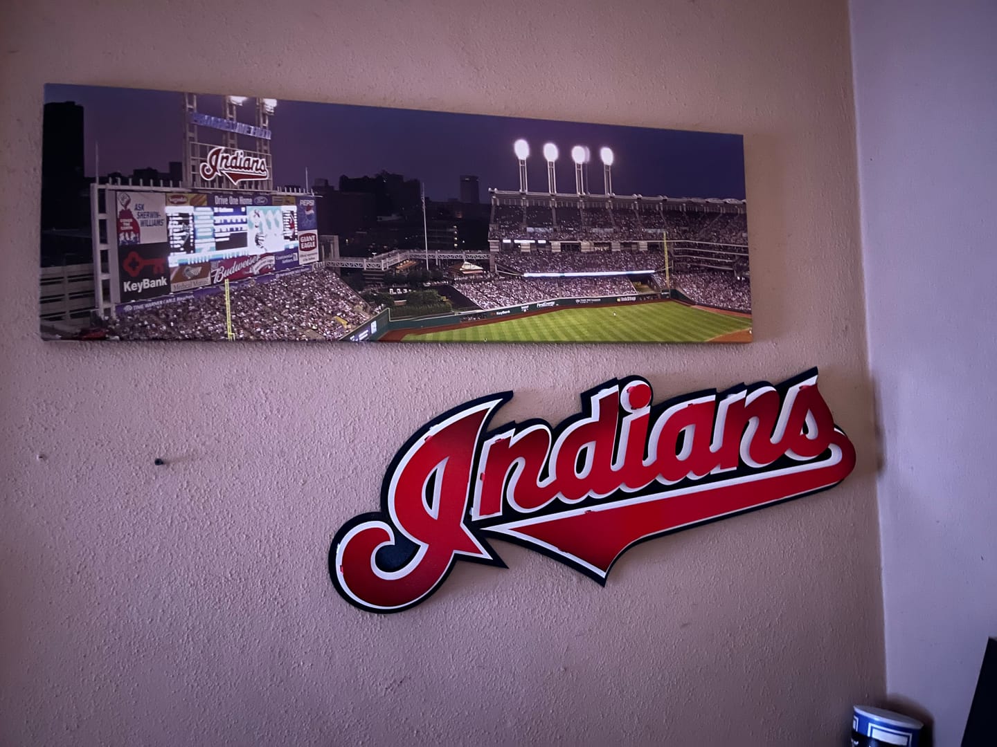 Customer photo review of Cleveland Indians Script COOPERSTOWN RETIRED Logo 3D Metal Wall Art