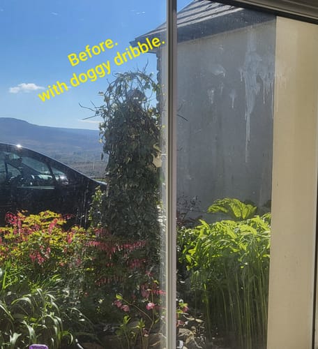 Customer photo review of Quickshine Starter Pack