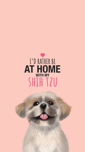 Customer photo review of Home with my Shih Tzu Phone Wallpaper