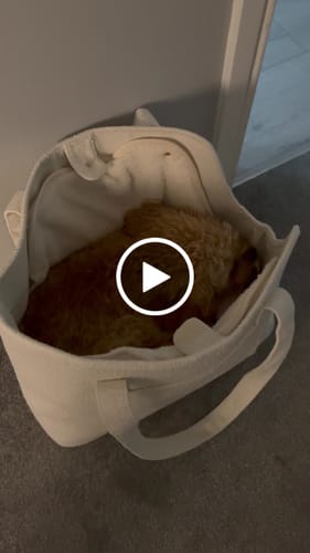 Customer video review of Marshmallow┃The Bouclé Carrier