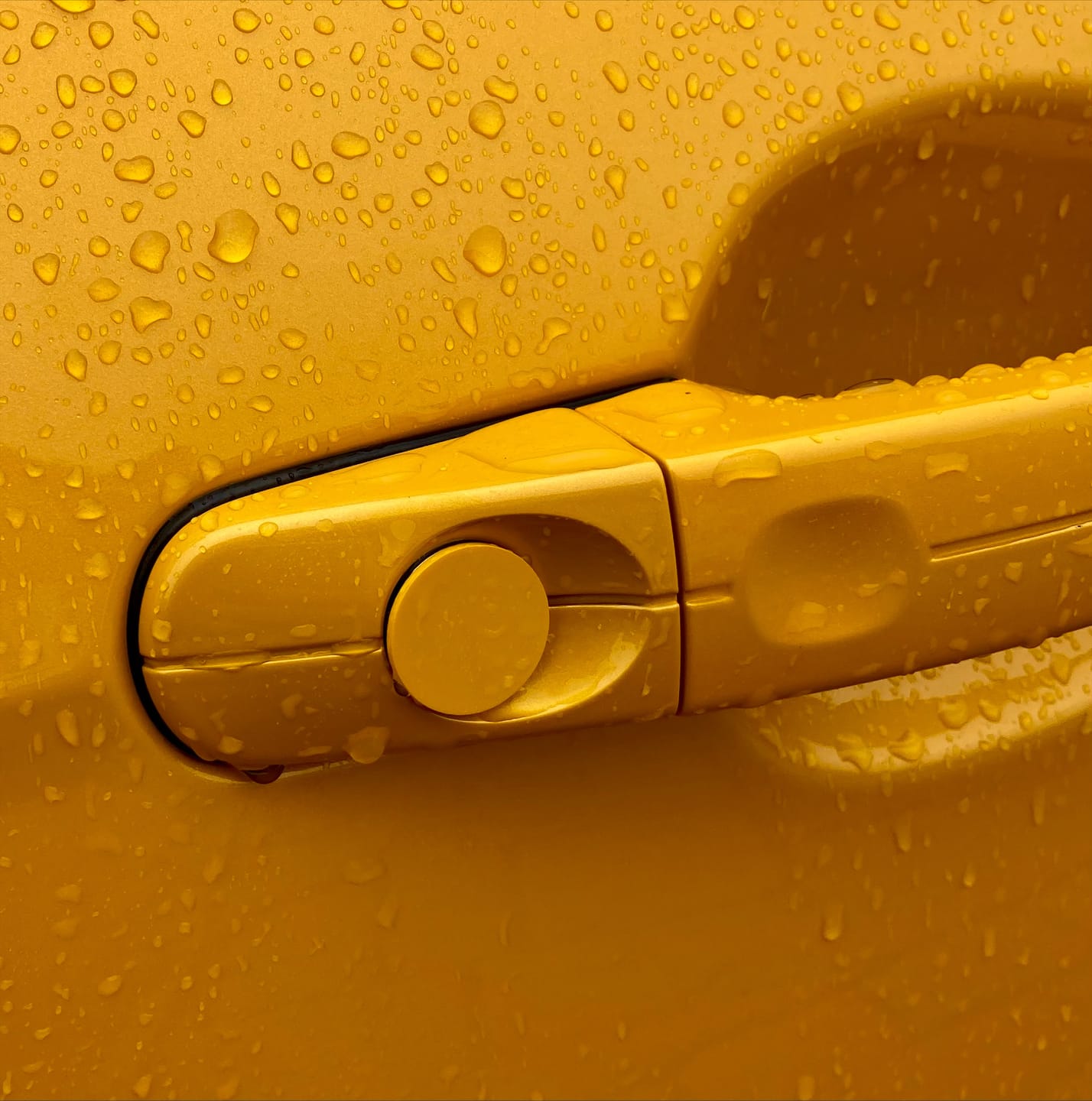 Customer photo review of Door Lock Barrel Blanking Plate - Mk2/2.5/3/3.5/4/4.5 Focus / Mk7/7.5 Fiesta (Painted)