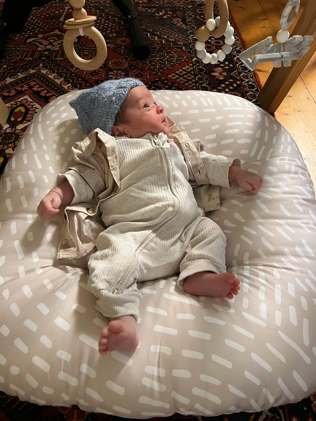 Customer photo review of Cushii Lounger Wanderlust - Oatmilk