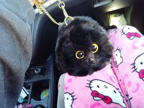 Customer photo review of Fluffy Black Cat Bag Cat Purse