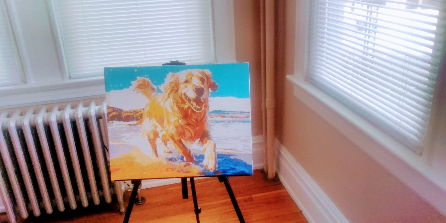 Customer photo review of Beach Day
