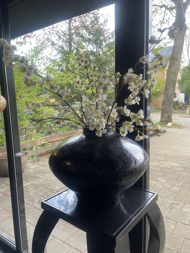 Fotorecensie van een klant over Zijden Bloesem - Wit