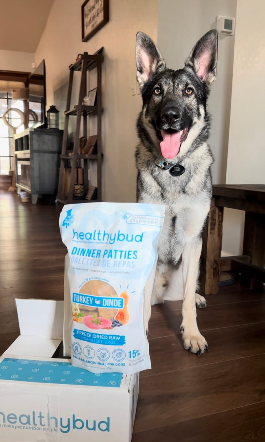 Customer photo review of Turkey Meal Patties