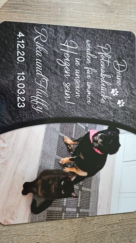 Customer photo review of Hunde Gedenktafel mit Foto & Spruch (UV- & Wetterfest)