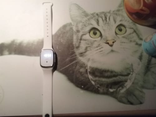 Customer photo review of Mückenblock™ Armband - 24 Stunden Schutz vor Mücken u.- Gelsenstichen