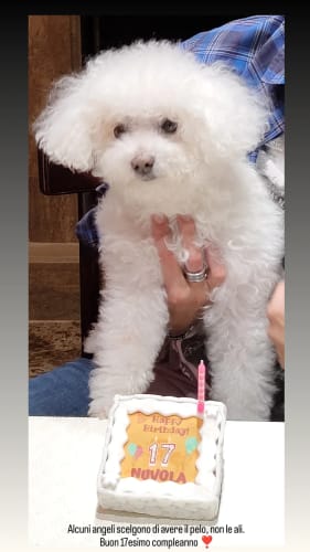 Customer photo review of Torta Per Cani Happy Birthday Personalizzabile Con NOME E ANNI