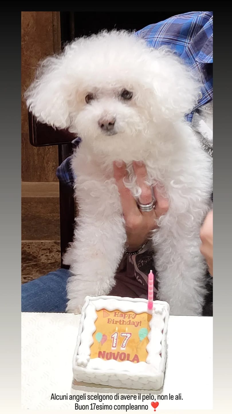 Customer photo review of Torta Per Cani Happy Birthday Personalizzabile Con NOME E ANNI