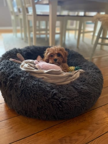 Customer photo review of CalmBed - Motverkar stress & hjälper mot ångest