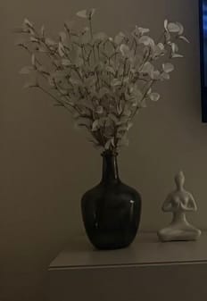 Customer photo review of Faux Eucalyptus - White (5 Stems)
