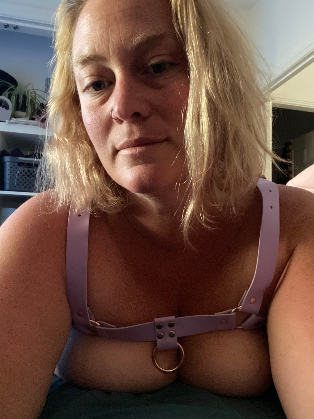 Customer photo review of OLD SIZE COOPER CHEST HARNESS