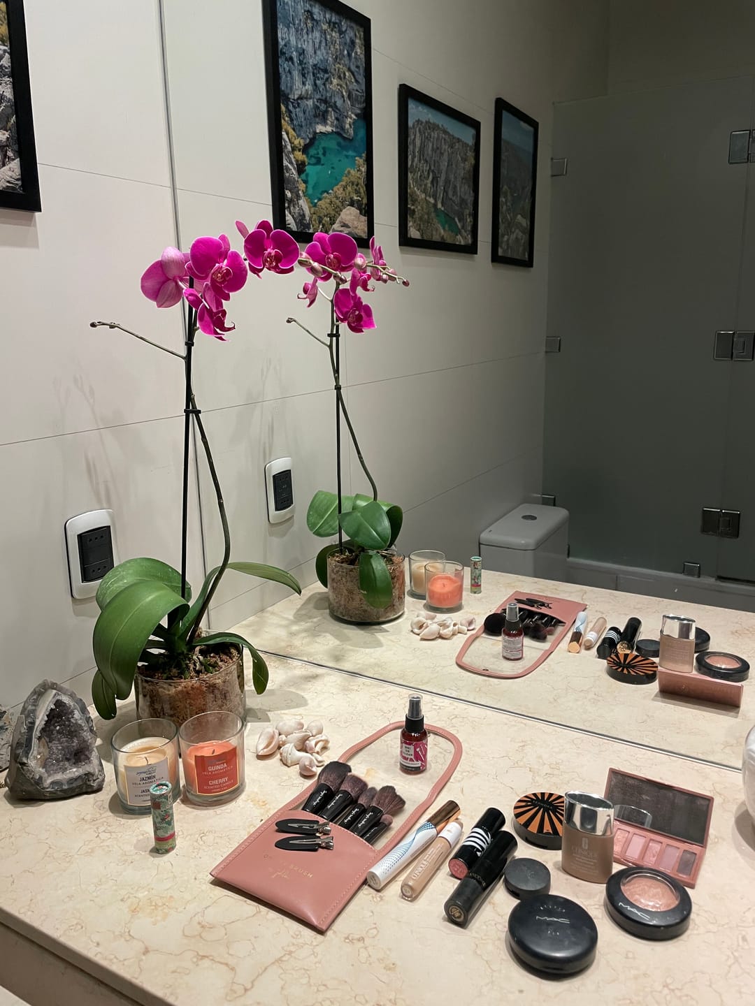 Customer photo review of Estuche OH! MY BRUSH para brochas de rostro