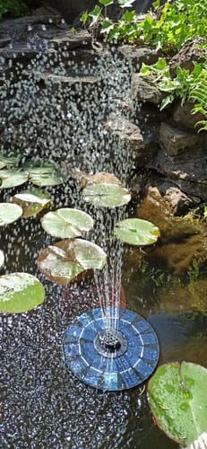 Customer photo review of Hochwertige Handgemachte Fontäne für Vögel