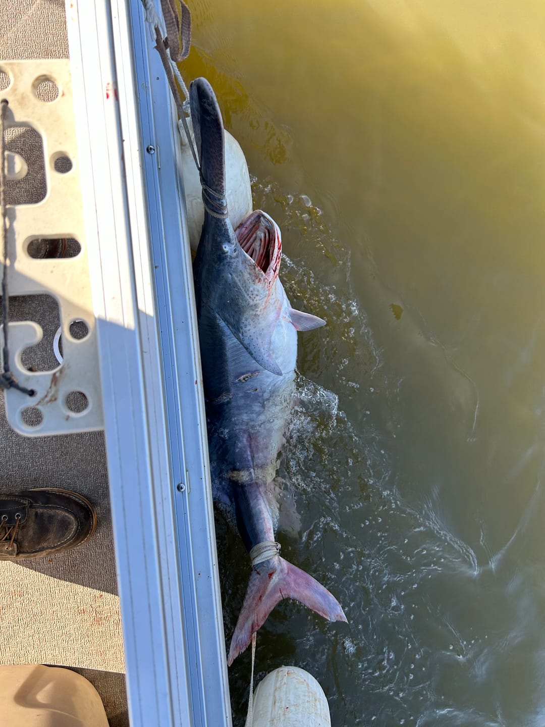 Customer photo review of Moss Camo 300-2000 Yard Spools