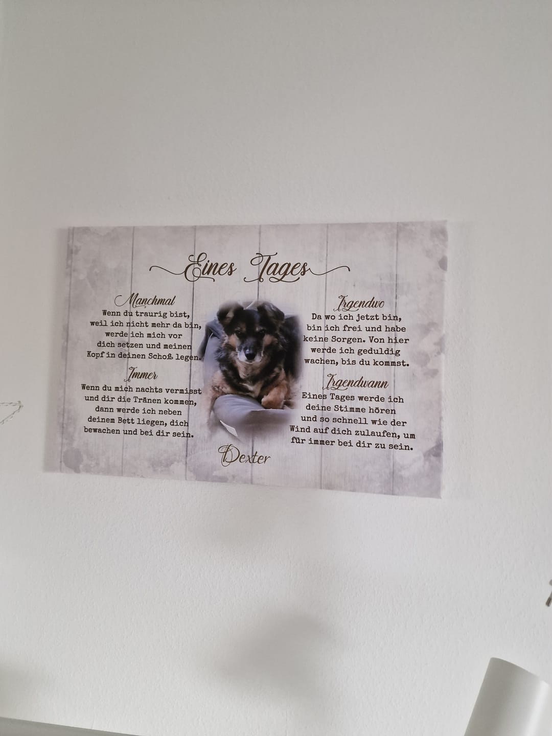 Customer photo review of Eines Tages - Individuelle Leinwand