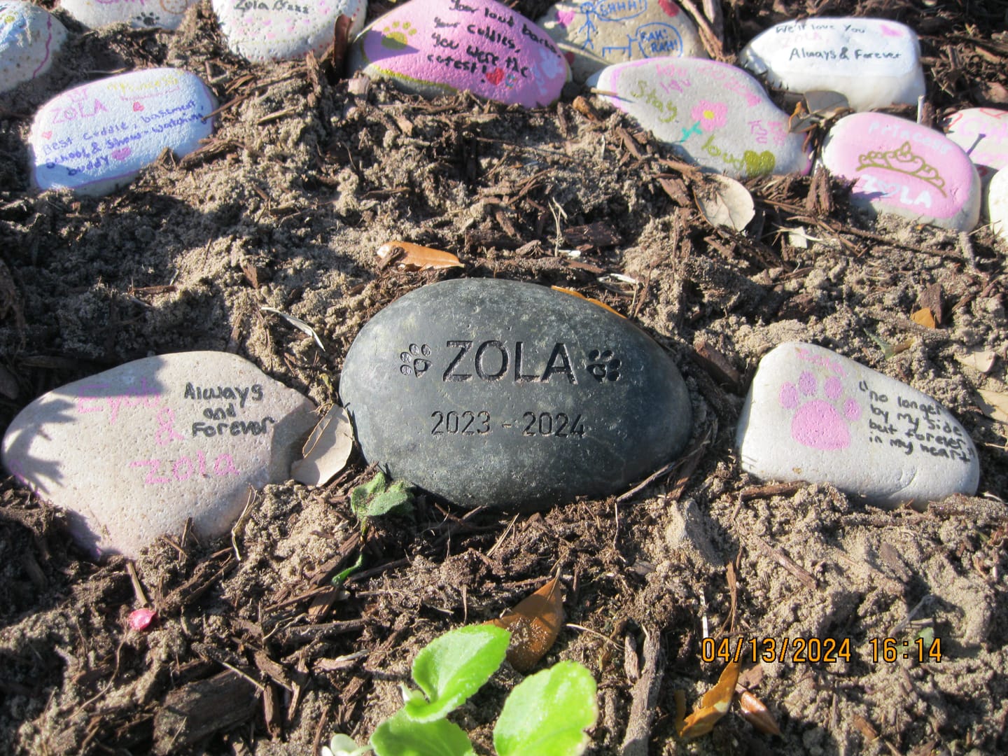 Customer photo review of Pet Grave Marker   Custom Engraved Pet Memorial Stone Paw Prints