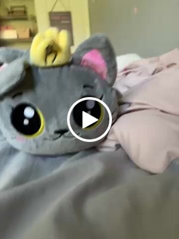 Customer video review of Eloise in Space Cat Plushy