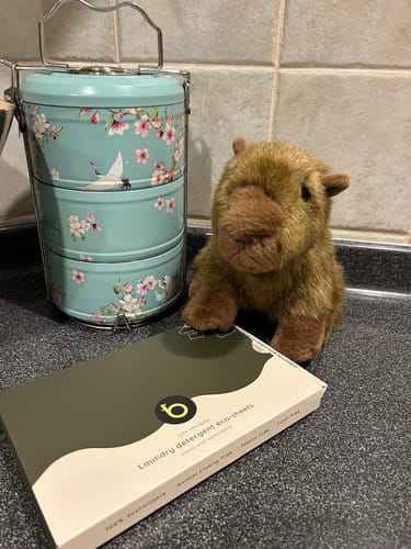 Customer photo review of Laundry Detergent Eco-Sheets™