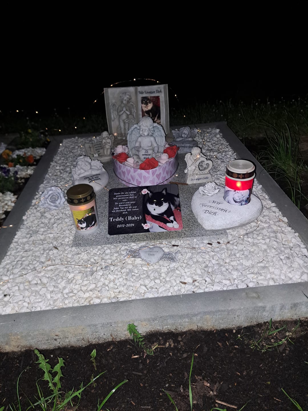Customer photo review of Katzen Gedenktafel mit Foto & Spruch (UV- & Wetterfest)