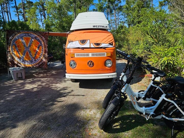 Customer photo review of U7 Step-thru Foldable Fat Tire Electric Bike